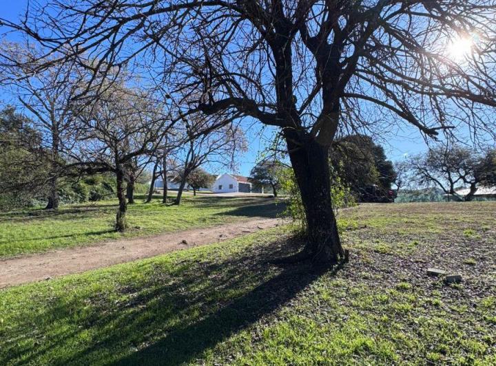 Terreno · 1208m²