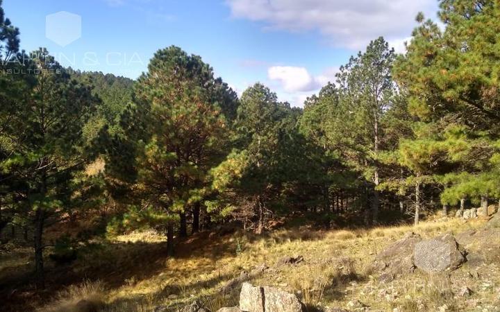 Terreno · 50000m²