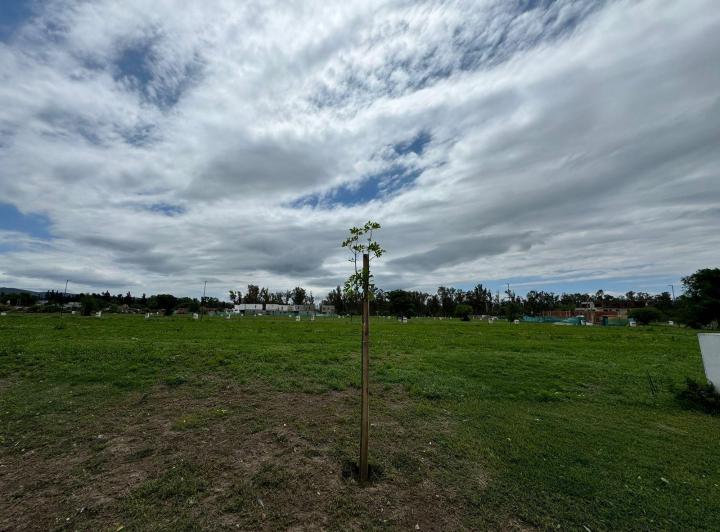 Terreno · 250m²