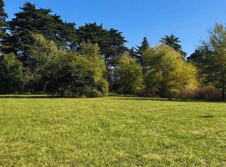 Terreno · 1081m²
