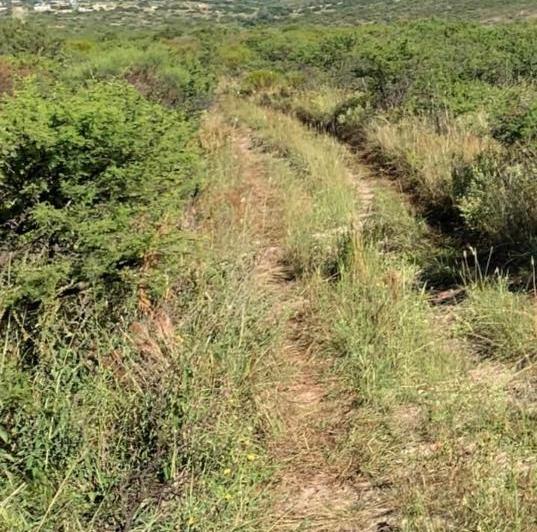 Terreno · 5000m²