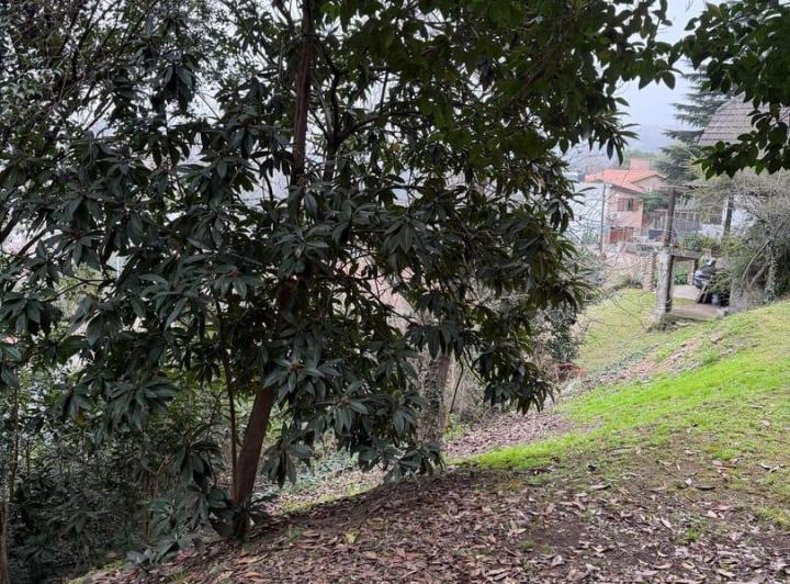 Terreno · 357m² · 1 Ambiente