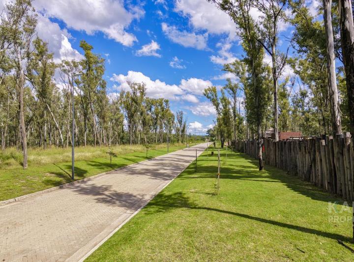 Terreno · 362m²