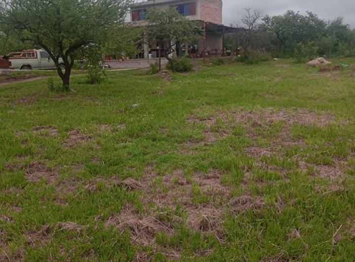 Terreno · 80m²