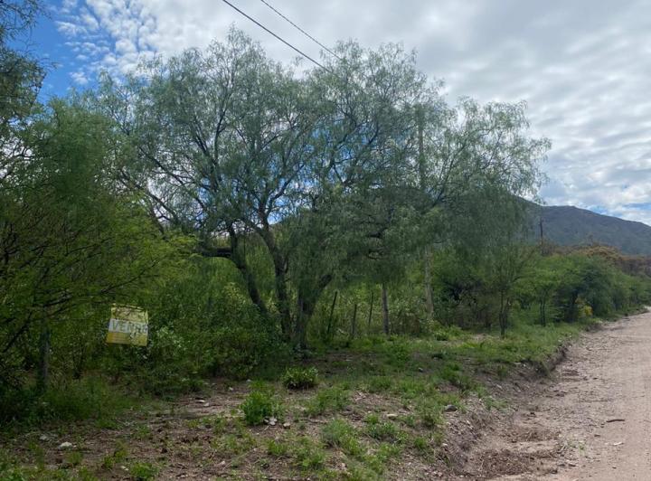 Terreno · 2500m²