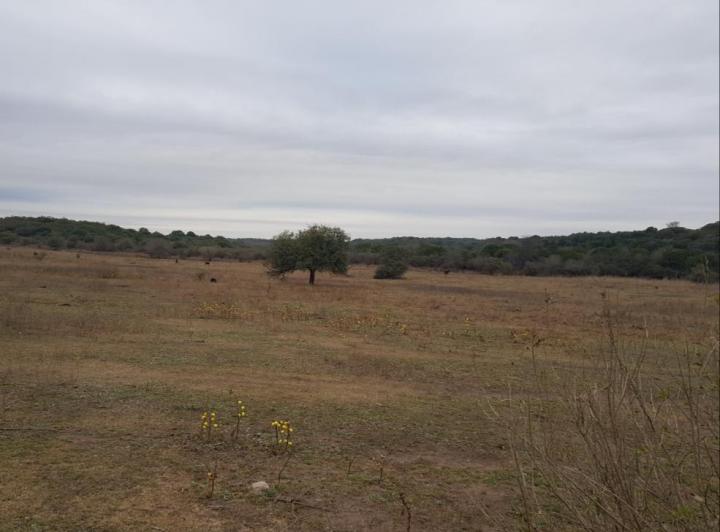 Terreno · 24m²