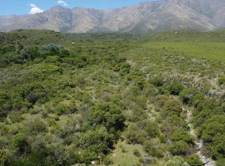 Terreno · 26500m²