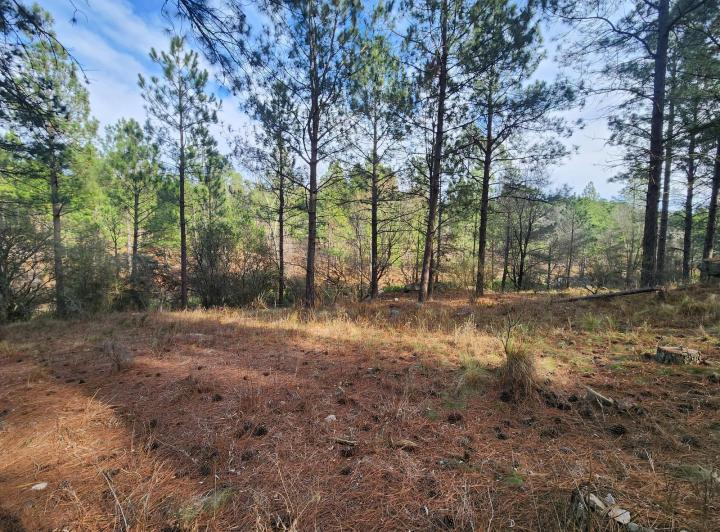 Terreno · 10000m²