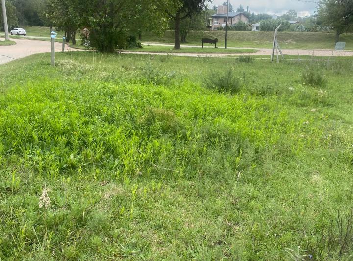 Terreno · 325m²