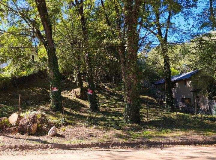Terreno · 1036m²
