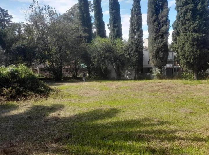 Terreno · 736m²