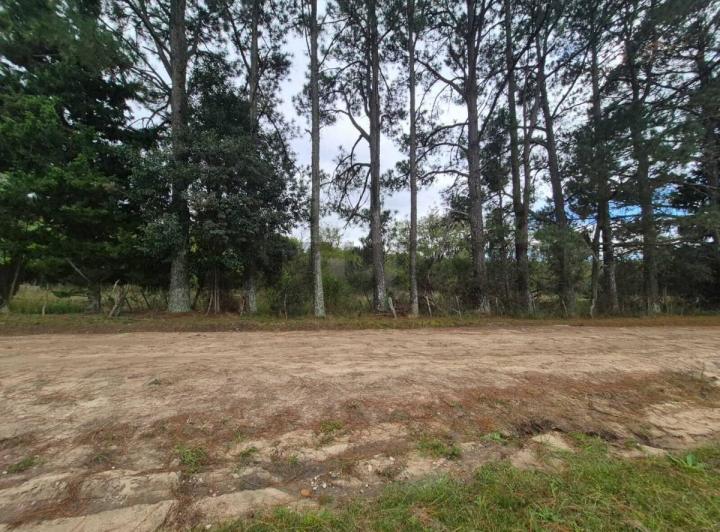 Terreno · 5000m²