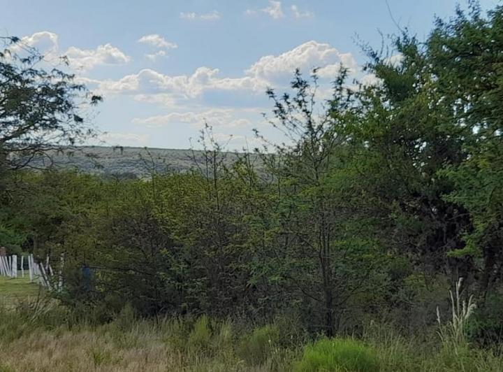Terreno · 1000m²