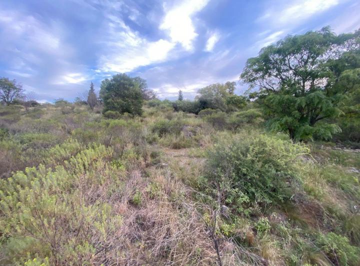 Terreno · 1000m²