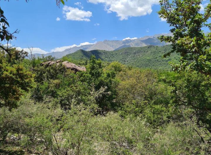 Terreno · 2500m²