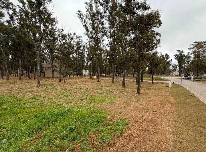 Terreno · 315m²