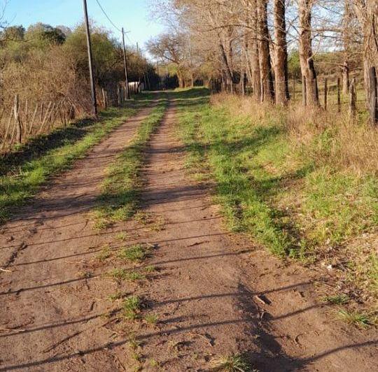 Terreno · 90000m²
