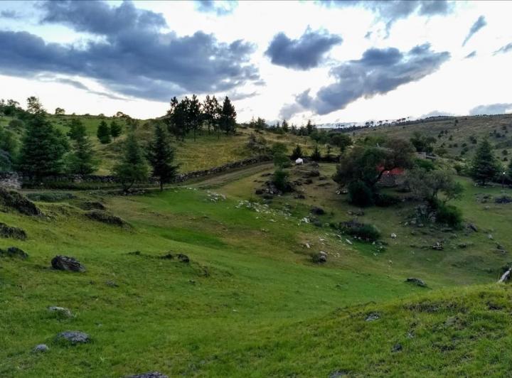 Terreno · 2000m²