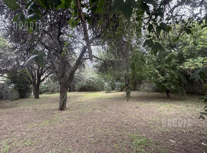 Terreno · 1010m²