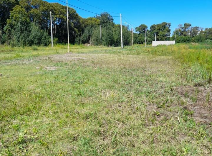 Terreno · 250m²