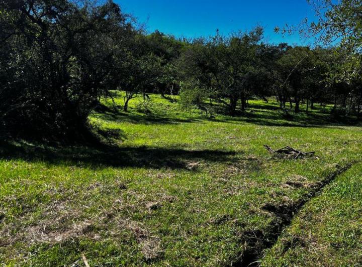 Terreno · 50m²