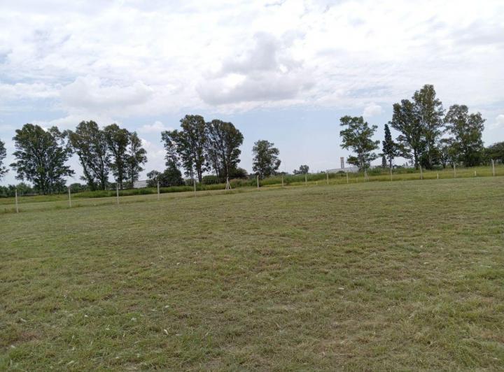 Terreno · 7430m²