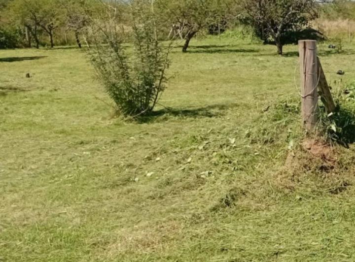 Terreno · 900m²