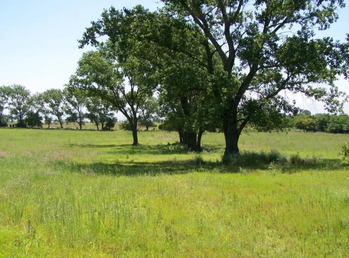 Terreno · 4800m²