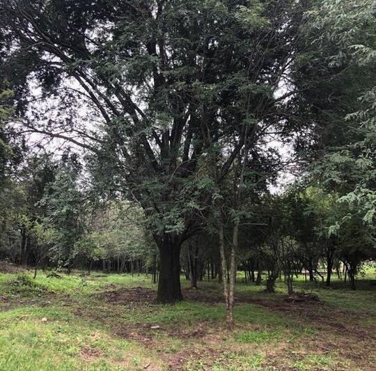 Terreno · 1m²