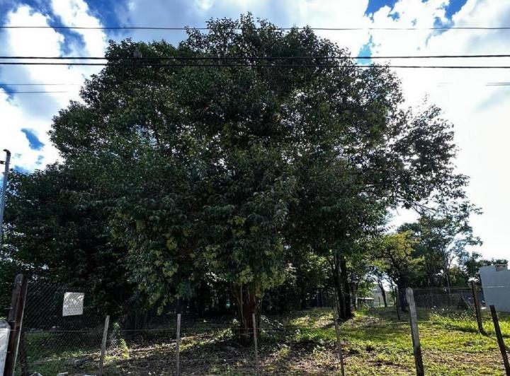 Terreno · 400m²