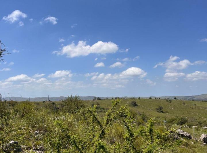 Terreno · 5451m²