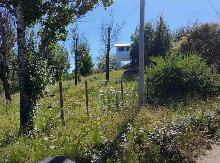 Terreno · 1600m²