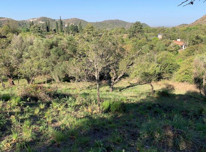 Terreno · 2076m²