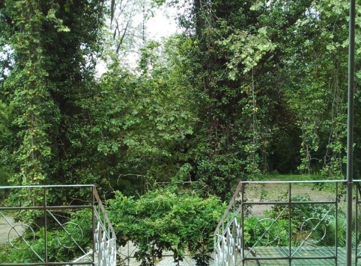 Terreno · 375m²