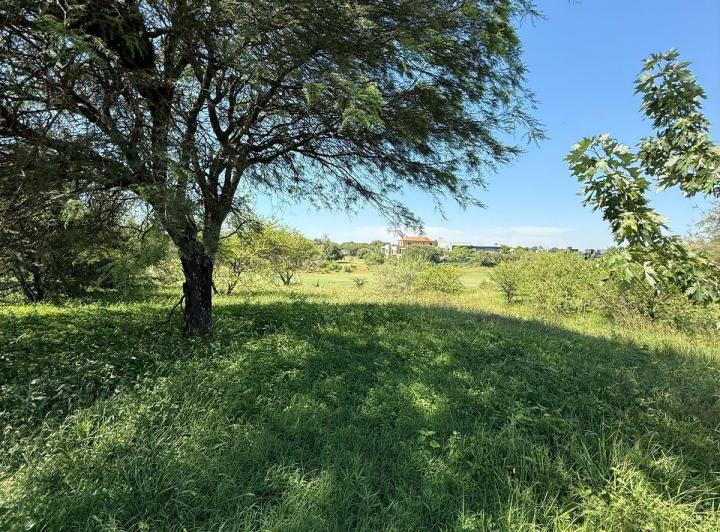 Terreno · 1435m²