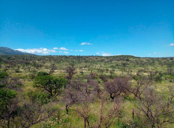 Terreno · 40000m²