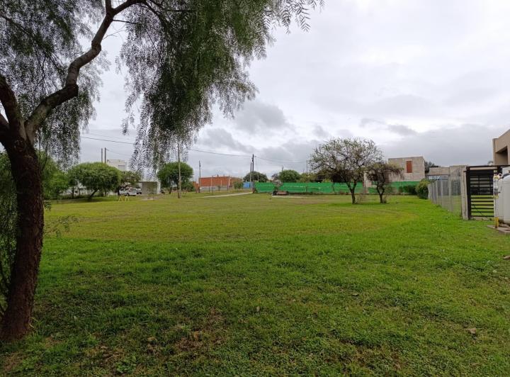 Terreno · 1551m²