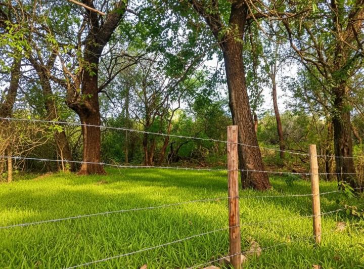Terreno · 1500m²