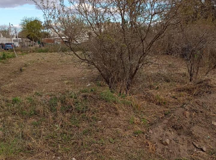 Terreno · 336m²