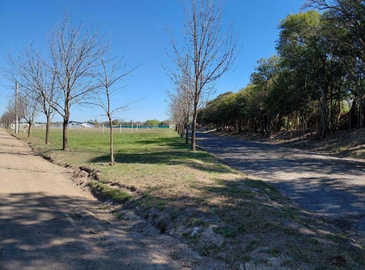 Terreno · 1100m²