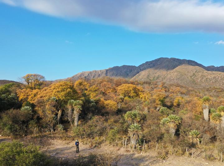 Terreno · 2500m²
