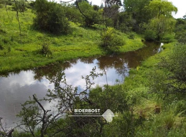 Terreno · 245ha · 1 Ambiente