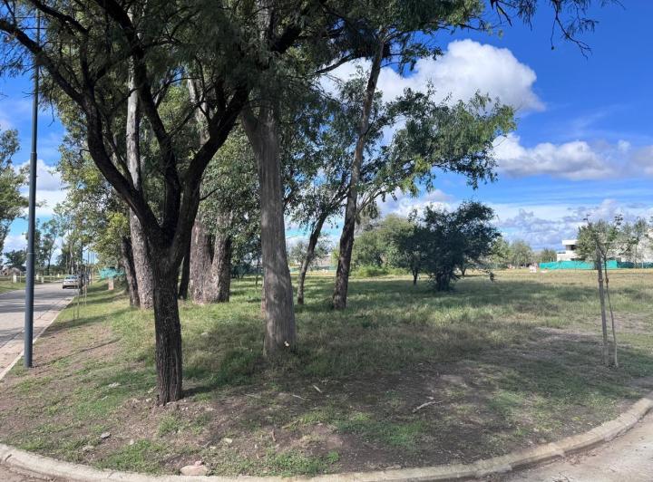 Terreno · 446m²