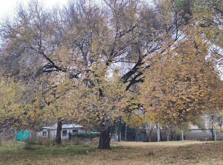 Terreno · 1200m²