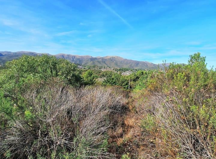 Terreno · 902m²