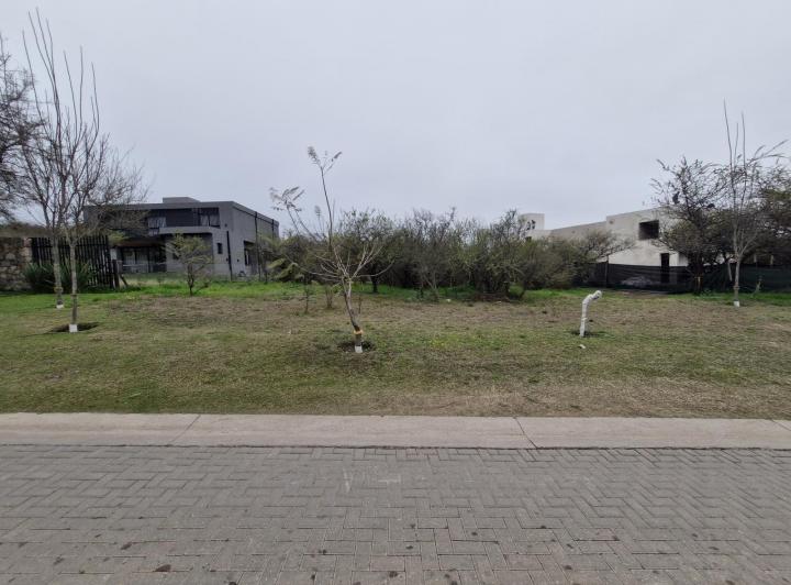 Terreno · 1000m²