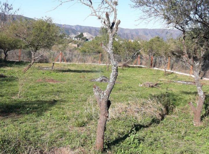 Terreno · 798m²