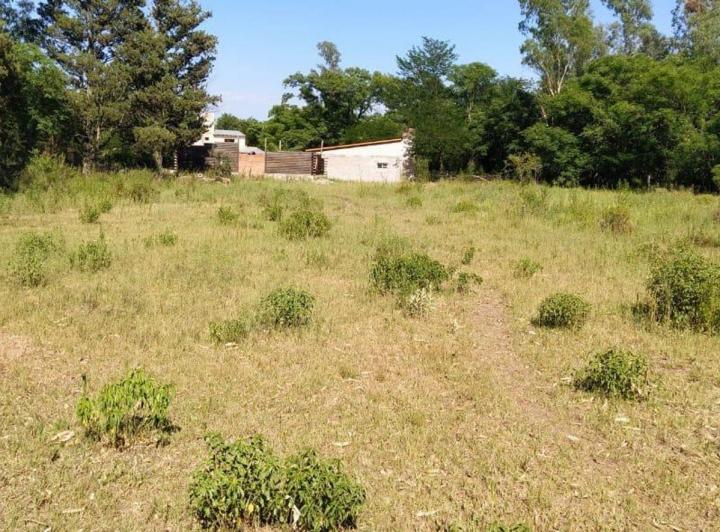 Terreno · 921m²
