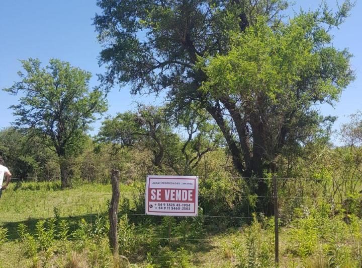 Terreno · 10000m²