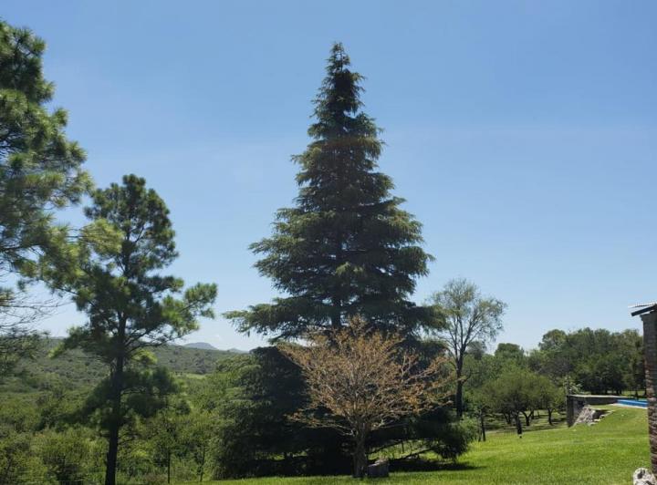 Terreno · 10287m²
